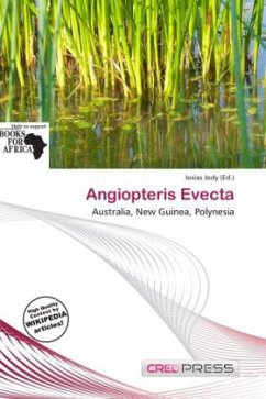 Angiopteris Evecta