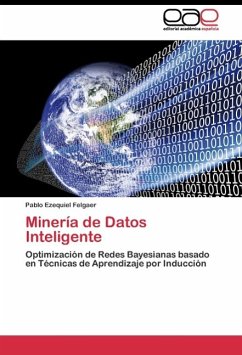 Minería de Datos Inteligente - Felgaer, Pablo Ezequiel