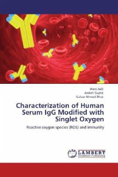 Characterization of Human Serum IgG Modified with Singlet Oxygen