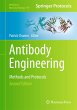 Antibody Engineering - Bild 1