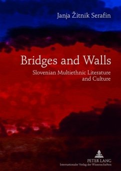 Bridges and Walls - Zitnik Serafin, Janja