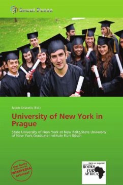 University of New York in Prague