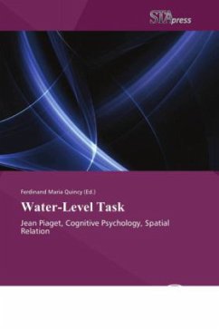 Water-Level Task