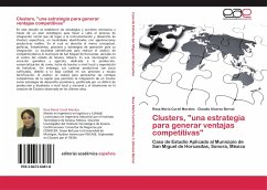 Clusters, &quote;una estrategia para generar ventajas competitivas&quote;