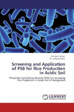 Screening and Application of PSB for Rice Production in Acidic Soil