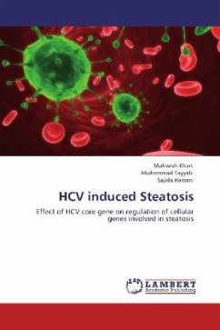 HCV induced Steatosis