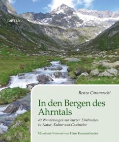 In den Bergen des Ahrntals - Caramaschi, Renzo