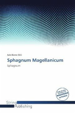 Sphagnum Magellanicum