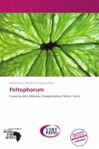 Peltophorum
