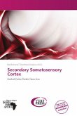 Secondary Somatosensory Cortex