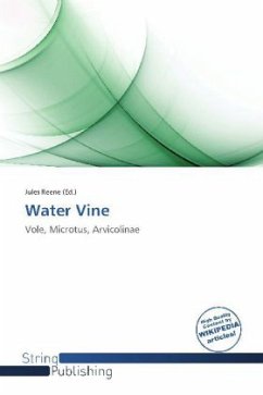 Water Vine