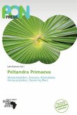 Peltandra Primaeva