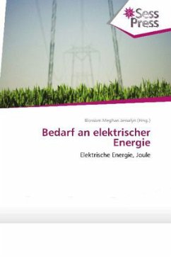 Bedarf an elektrischer Energie