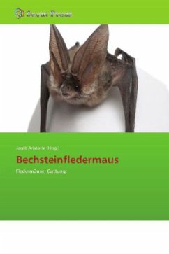 Bechsteinfledermaus