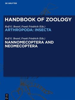 Cover Handbook of Zoology/ Handbuch der Zoologie, Nannomecoptera and Neomecoptera