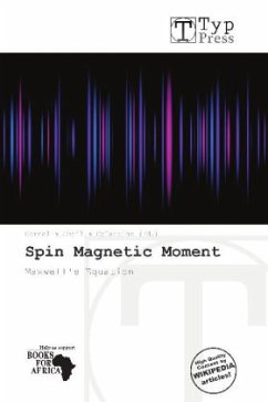 Spin Magnetic Moment