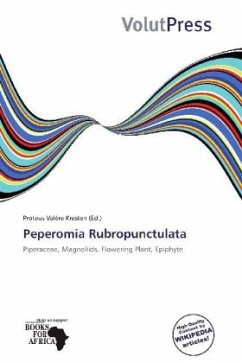 Peperomia Rubropunctulata