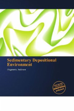 Sedimentary Depositional Environment