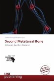 Second Metatarsal Bone