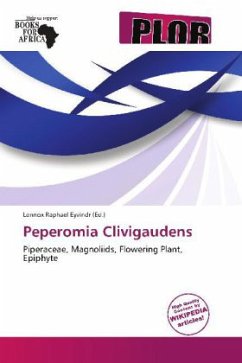 Peperomia Clivigaudens