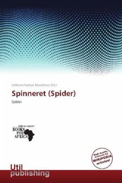 Spinneret (Spider)