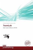 TeamLab TeamLab