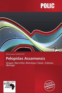 Pelopidas Assamensis