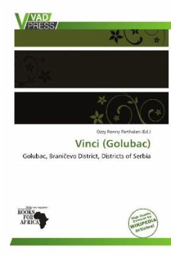 Cover Vinci (Golubac)