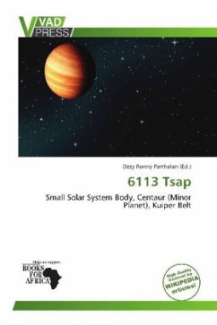 Cover 6113 Tsap