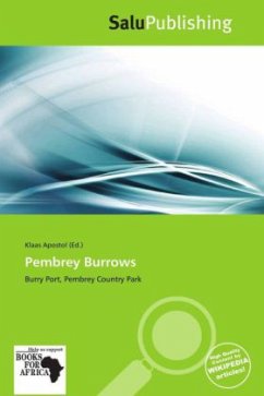 Cover Pembrey Burrows