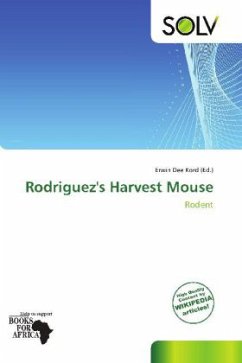 Rodriguez's Harvest Mouse