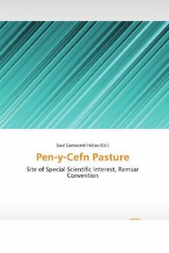 Cover Pen-y-Cefn Pasture