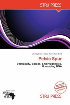 Pelvic Spur