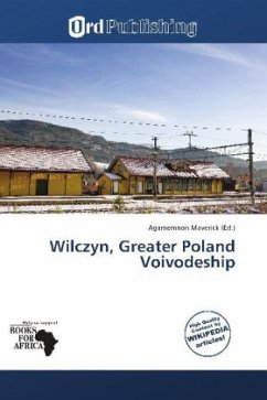 Wilczyn, Greater Poland Voivodeship