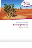 Bechar (Provinz)