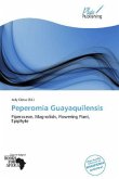 Peperomia Guayaquilensis