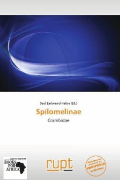 Spilomelinae