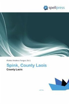 Spink, County Laois