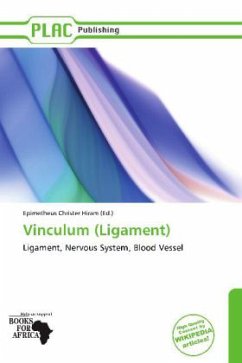 Cover Vinculum (Ligament)