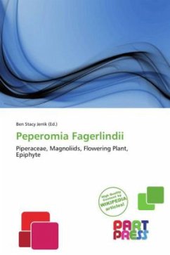 Cover Peperomia Fagerlindii