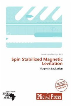 Spin Stabilized Magnetic Levitation