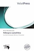 Peltospira Lamellifera