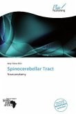 Spinocerebellar Tract