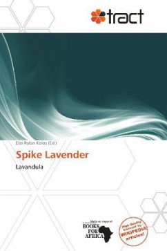 Spike Lavender