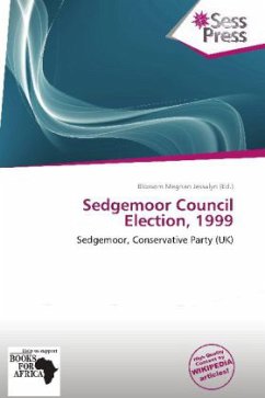 Sedgemoor Council Election, 1999