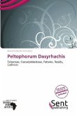 Peltophorum Dasyrhachis