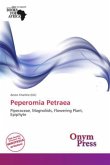 Peperomia Petraea