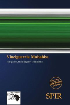 Vinciguerria Mabahiss