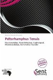 Peltorhamphus Tenuis