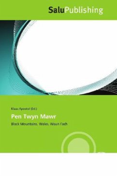 Cover Pen Twyn Mawr